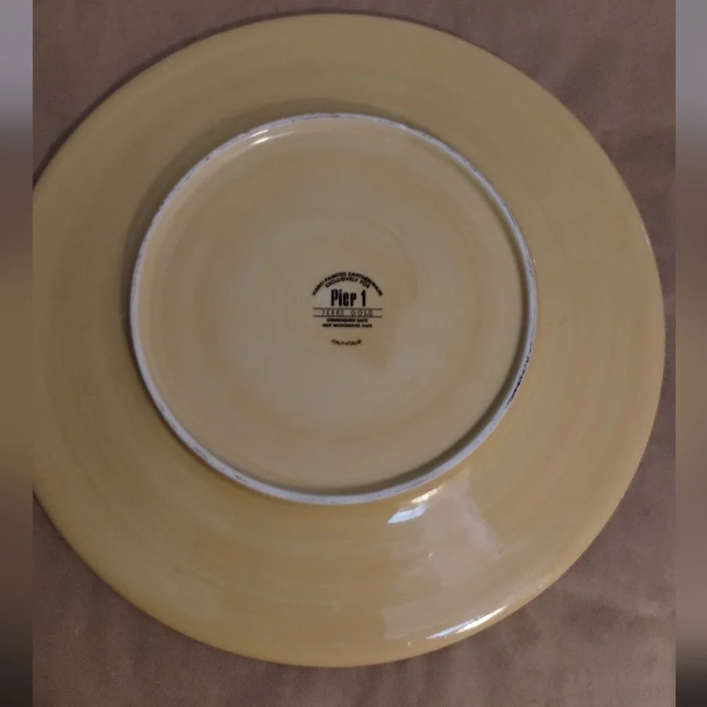 Pier 1 Terre Gold Earthenware Hand Painted Plater